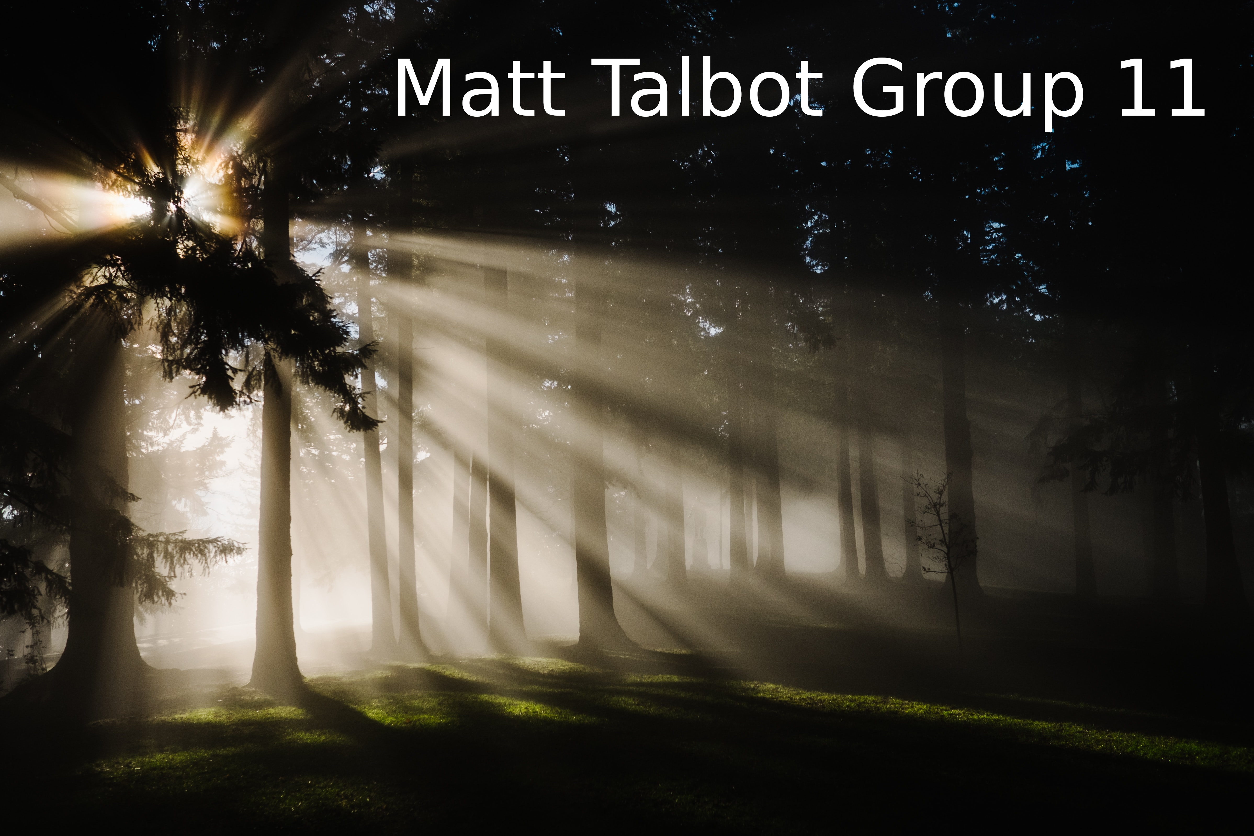 Matt Talbot Group 11